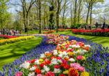 Unser Tipp: Machen Sie einen Ausflug zum berühmten Keukenhof.