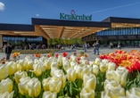 Eine Fahrradtour zum beliebten Keukenhof darf nicht fehlen.