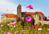 Besuchen Sie die UNESCO-Welterbestadt Quedlinburg. Der Schlossberg mit seiner mehr als tausendjährigen romanischen Stiftskirche ist einen Besuch wert.