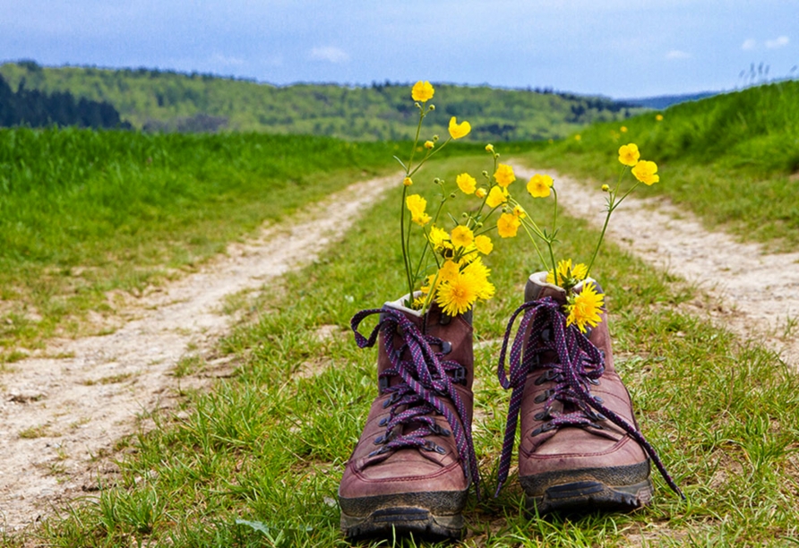 Wanderurlaub im Bayerischen Wald