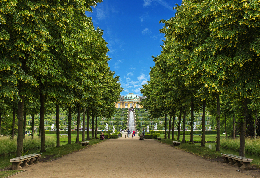 Lassen Sie sich vom Schloss Sanssouci in Potsdam verzaubern.