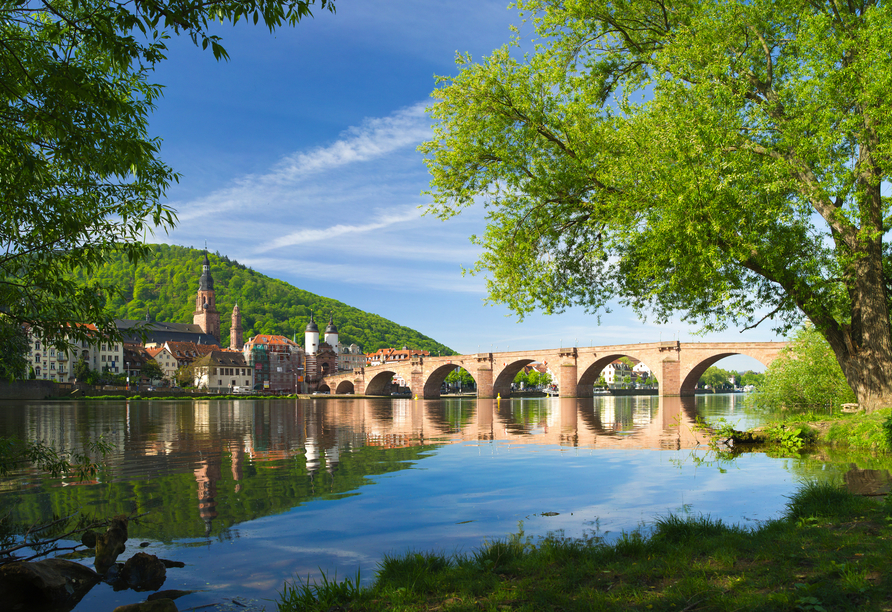 Hotel Zum Weissen Lammin Rothenberg-Kortelshütte im Odenwald, , Heidelberg Landschaft