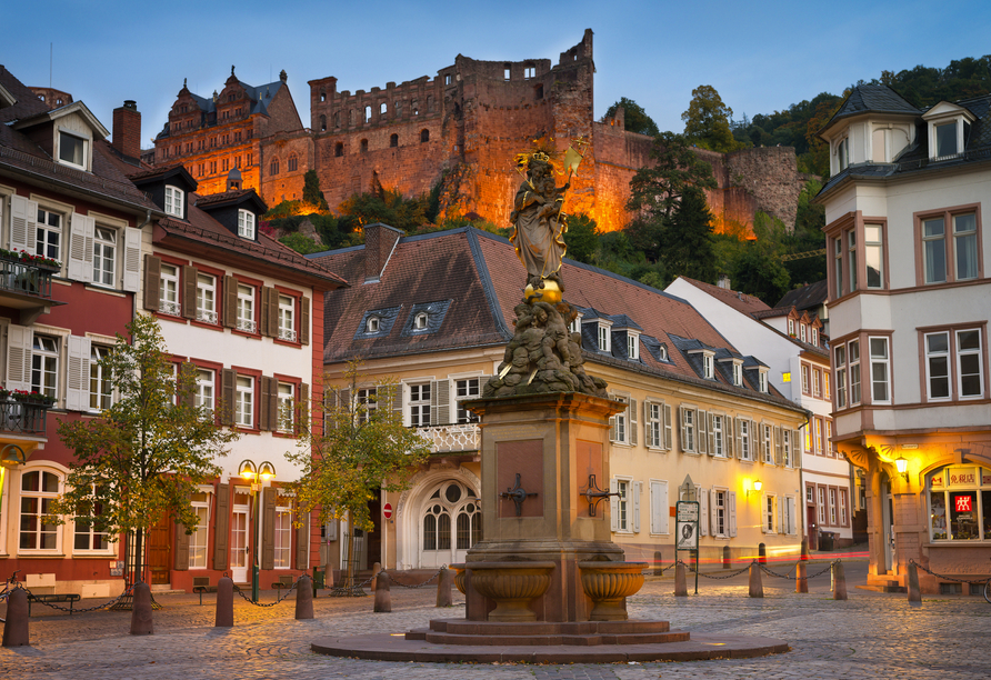 Hotel Zum Weissen Lammin Rothenberg-Kortelshütte im Odenwald, , Marktplatz in Heidelberg