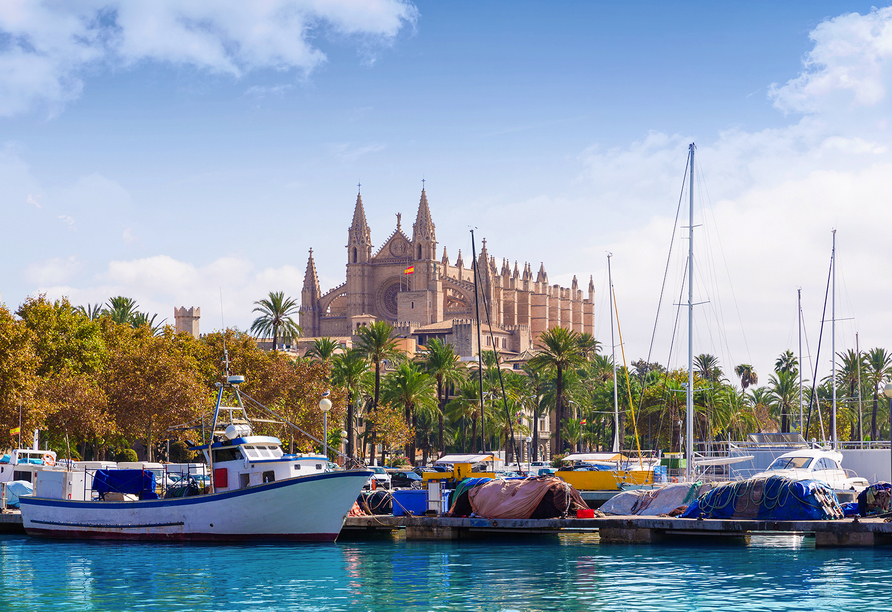 Verbringen Sie eine erlebnisreiche Zeit in Palma de Mallorca.