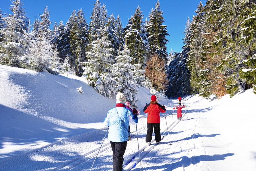 Wie wäre es mit einer Wanderung am Rennsteig im Winter?