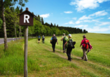 Einer der bekanntesten Wanderwege im Thüringer Wald ist der Rennsteig.