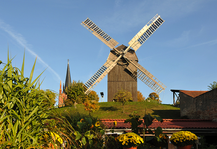 Die traditionelle Bockwindmühle in Werder ist ein beliebtes Ausflugsziel.