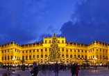 Besuchen Sie den Weihnachtsmarkt am Schloss Schönbrunn. Dieser hat bis ins neue Jahr geöffnet.