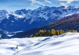 Genießen Sie die schneebedeckte Landschaft.