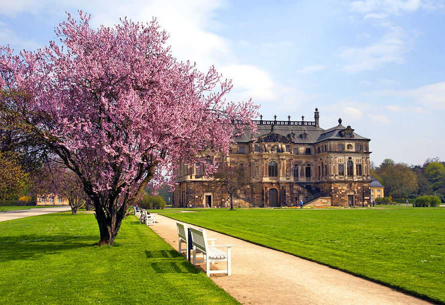Das Palais im Großen Garten zählt zu den schönsten Barockanlagen Dresdens.