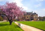 Das Palais im Großen Garten zählt zu den schönsten Barockanlagen Dresdens.