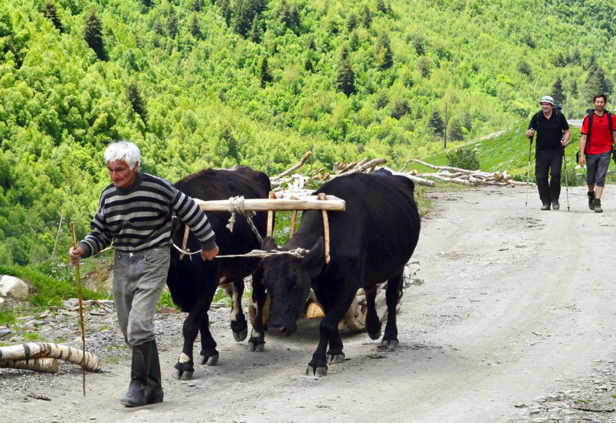 Landarbeit ist ein wichtiger Bestandteil des traditionellen Lebens in Georgien.