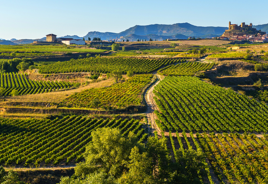 Zentral- und Nordspanien entdecken, La Rioja