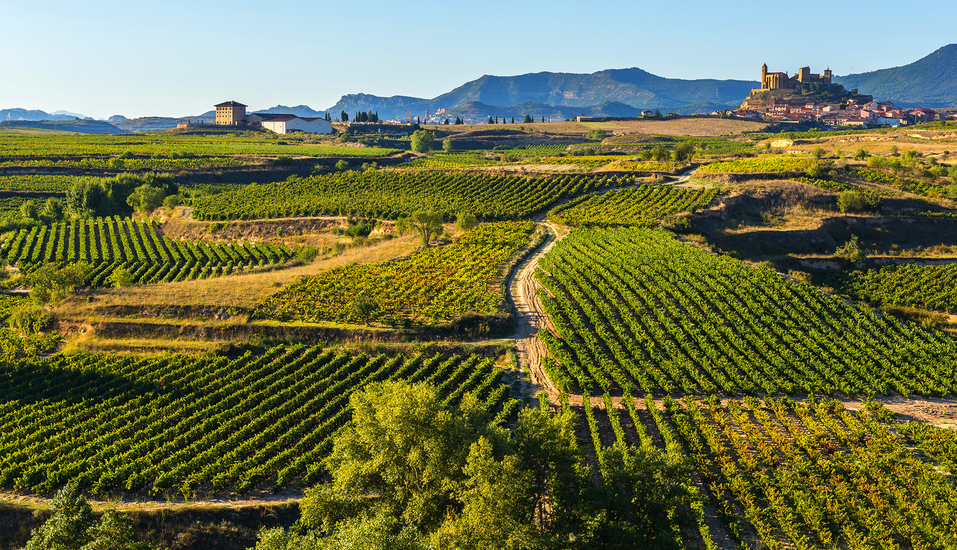 Zentral- und Nordspanien entdecken, La Rioja