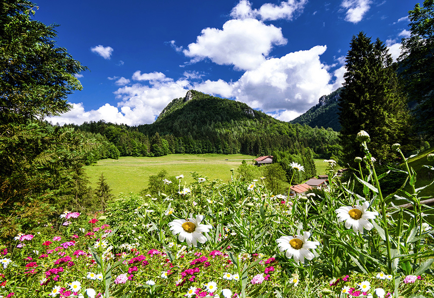 Erkunden Sie die traumhafte Landschaft des Bayerischen Waldes aktiv bei einer Wanderung.