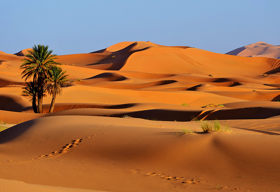 Buchen Sie vor Ort einen Ausflug zu den Sanddünen von Merzouga.