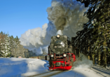 Wir empfehlen eine Fahrt mit der Brockenbahn bei winterlicher Kulisse.
