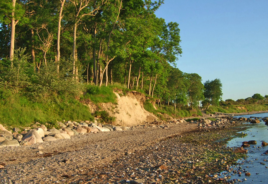 Der wunderschöne Naturstrand lädt zu langen Spaziergängen ein.