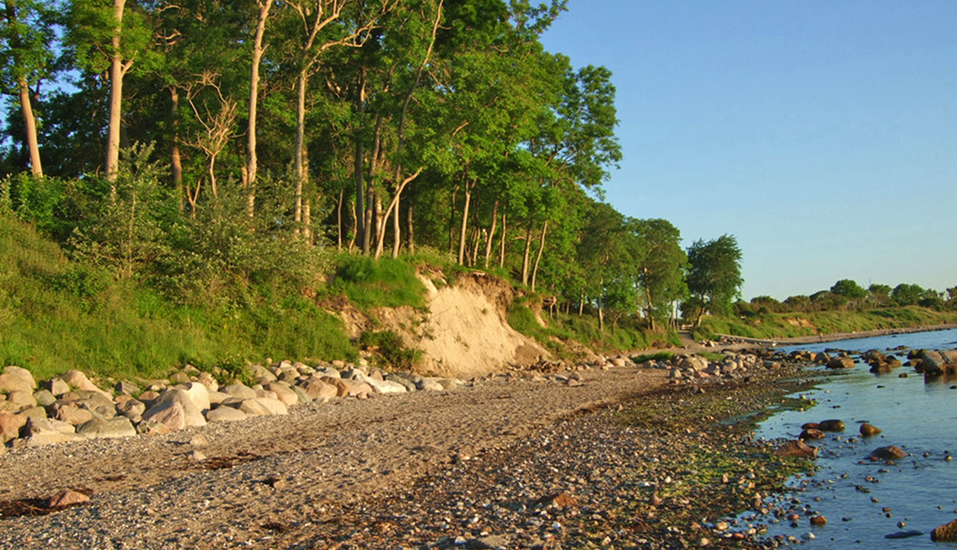 Der wunderschöne Naturstrand lädt zu langen Spaziergängen ein.