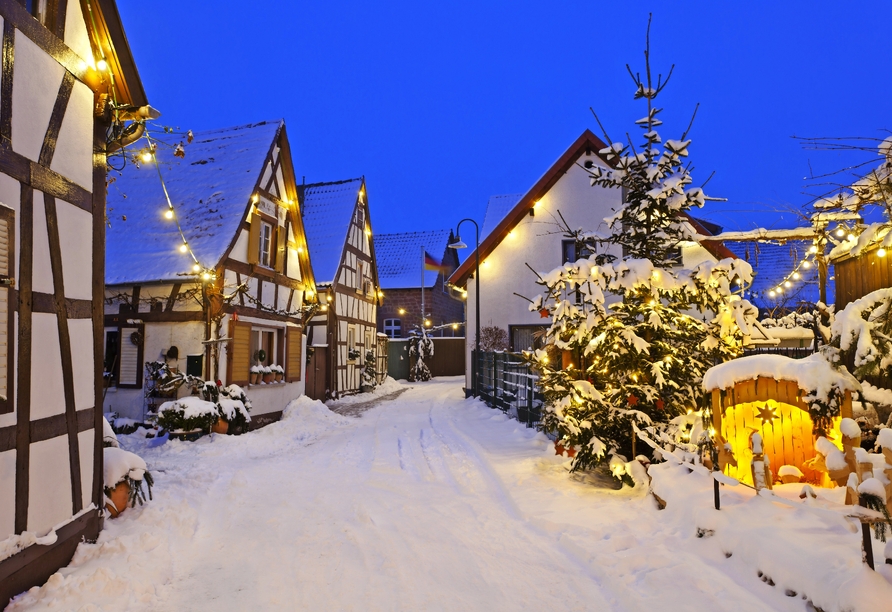Auch in Speyer weihnachtet es sehr.