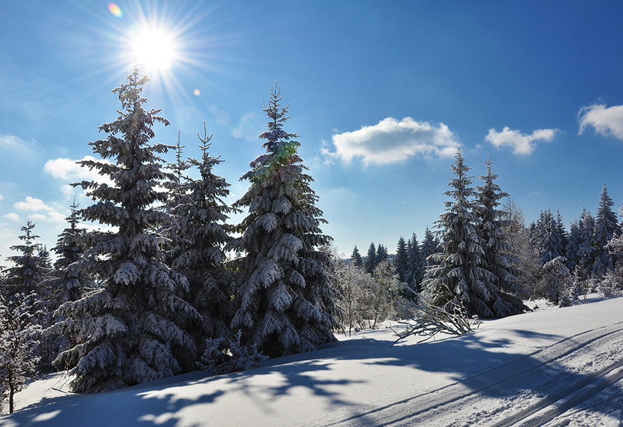 Der Winter im Thüringer Wald verzaubert mit seinen verschneiten Landschaften.
