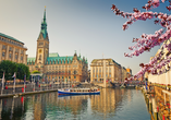 Rund um die Alster zeigt sich Hamburg von seiner schönsten Seite und lädt zum entspannten Entdecken ein.