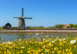 Entdecken Sie die traditionellen Windmühlen auf der niederländischen Insel Texel.