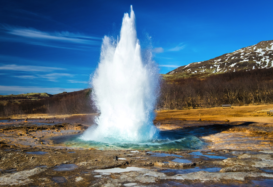 Der Strokkur-Geysir schleudert regelmäßig eine hohe Wasserfontäne in die Luft. Er zählt zu den bekanntesten Geysiren Islands.