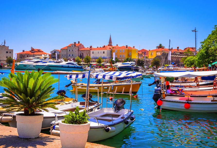 Erkunden Sie Ihren Urlaubsort Budva mit seinem malerischen Hafen.