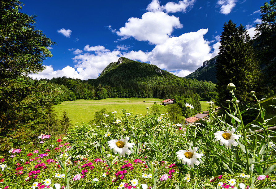 Bayerischer Wald – eine wunderbare Zeit erleben!