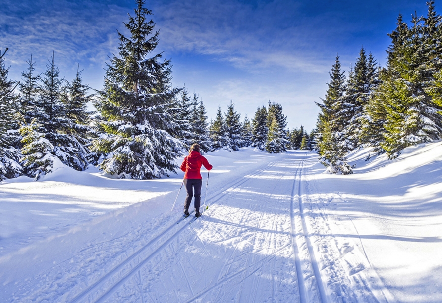 Die Region ist perfekt für einen Skiurlaub.