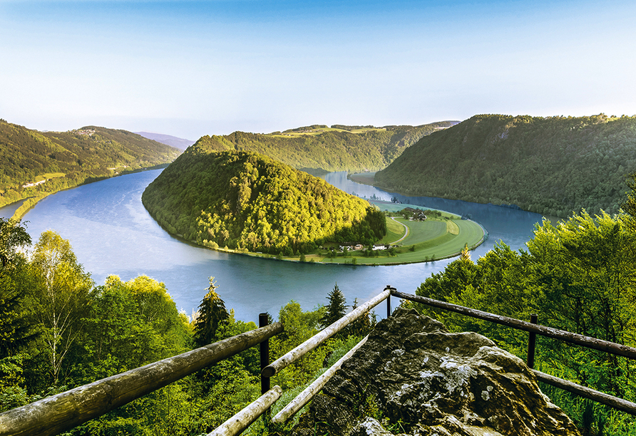 Die Schlögener Schlinge zeigt die wunderschöne Donaulandschaft in besonders ursprünglicher Form. 