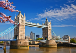 Ab Dover können Sie auch einen Ausflug ins pulsierende London unternehmen.