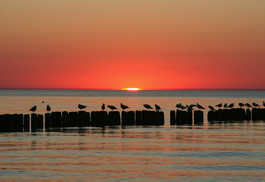 Am Strand können Sie den romantischen Sonnenuntergang erleben.