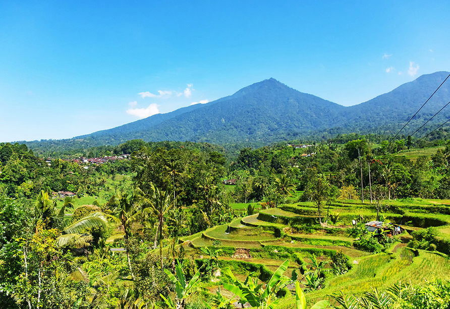Die Reisterrassen von Jatiluwih gehören zum UNESCO Welterbe und zeigen das traditionelle Subak Bewässerungssystem.
