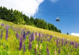 Sessellift am Fichtelberg in Oberwiesenthal