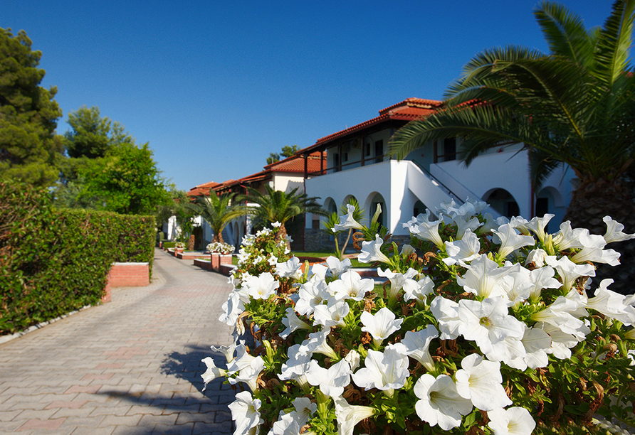 Die gesamte Hotelanlage ist mit Palmen und Blumen freundlich gestaltet.