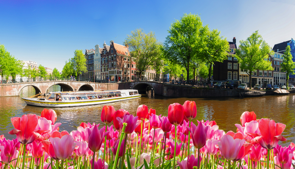 Freuen Sie sich auf die Tulpenblüte in Amsterdam