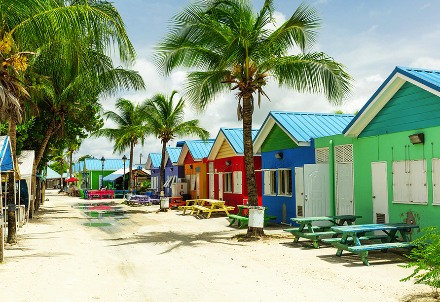 In Bridgetown auf Barbados erwarten Sie typisch bunte Holzhäuser, die der Insel ihren ganz eigenen Charme verleihen.