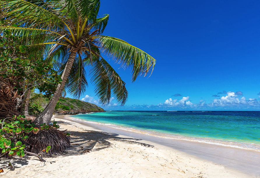 In der Karibik erwarten Sie paradiesische Strände.