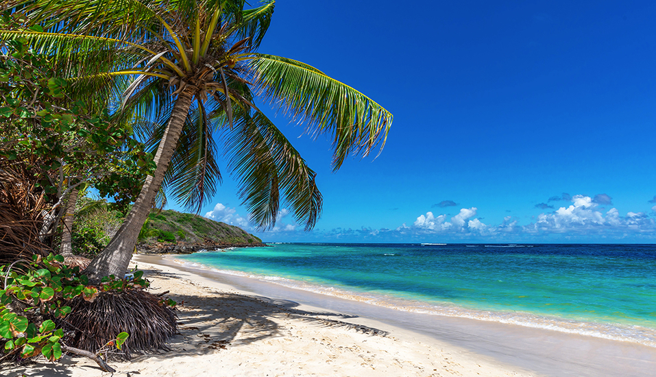 In der Karibik erwarten Sie paradiesische Strände.