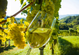 Genießen Sie auf Ihrer Radreise für die Region typische Köstlichkeiten wie zum Beispiel Wein.