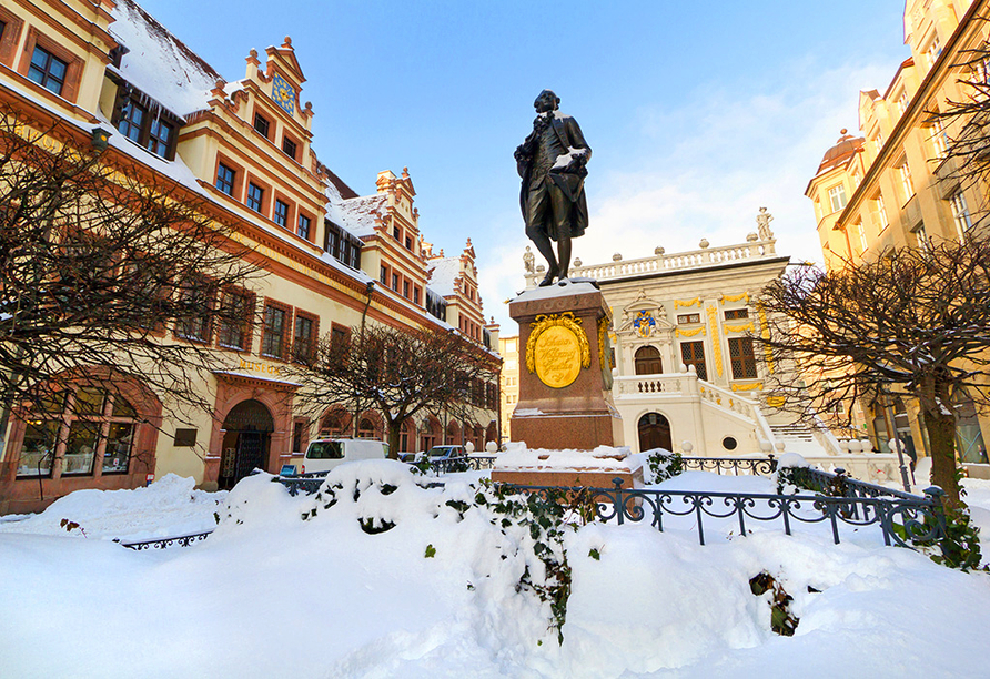 Hotel Schloss Breitenfeld in Leipzig, Goethedenkmal im Winter