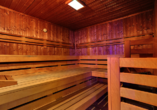 Active & Wellness Hotel Subterra in Ostrov, Sauna