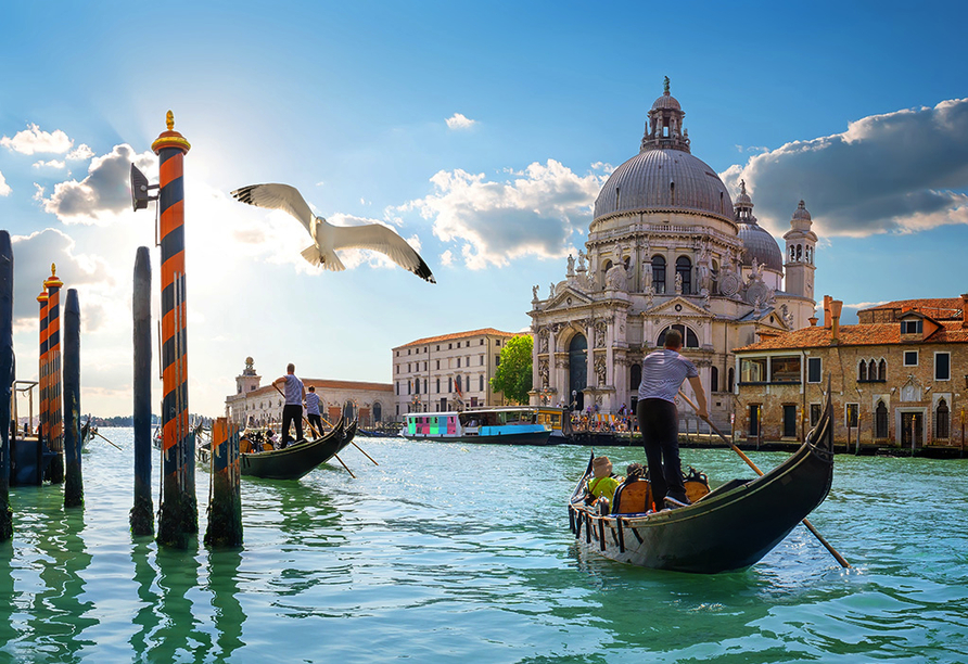 Lernen Sie die romantische Stadt Venedig kennen.