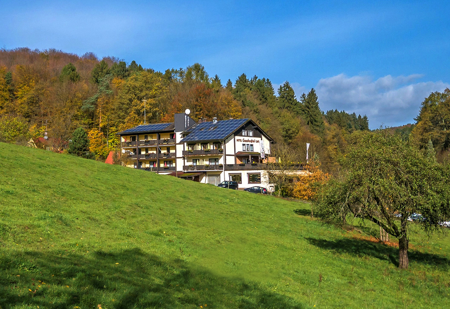 Hotel Gassbachtal in Grasellenbach, Odenwald, Hotel