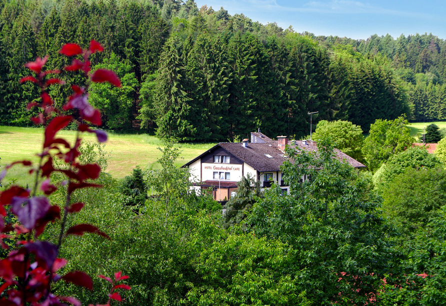 Hotel Gassbachtal in Grasellenbach, Odenwald, Im Grünen