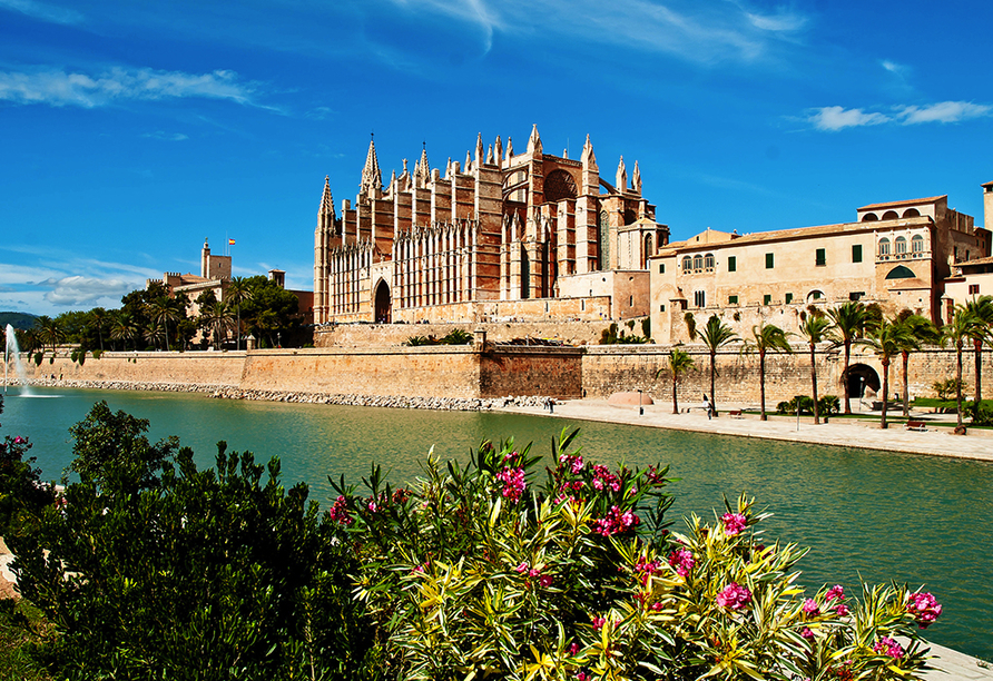 Entdecken Sie die Sehenswürdigkeiten auf Mallorca, wie zum Beispiel die Kathedrale Palma de Mallorca.