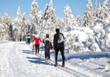 Die verschneite Region können Sie am besten beim Skifahren entdecken.