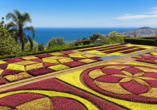 Der Botanische Garten in Funchal ist sehr beliebt – machen Sie sich selbst ein Bild davon.